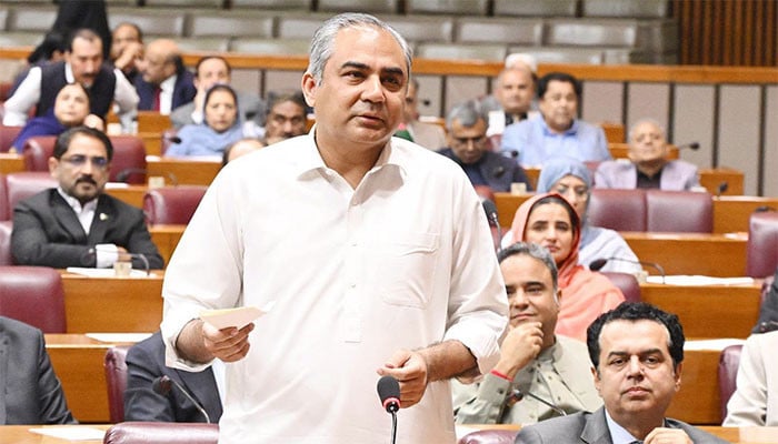 جے یو آئی والے گورنر راج سے پہلے کہتے تھے ہماری ان سے جان چھڑوائیں، محسن نقوی