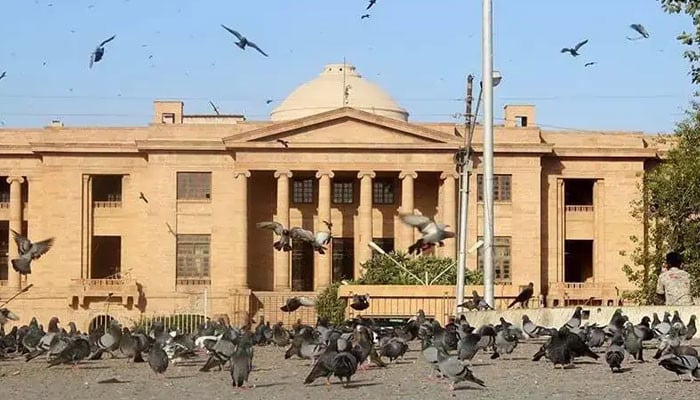 را سے تعلق و ریاست مخالف سازش کے الزامات ثابت نہ ہوئے، ملزم کی عمر قید کی سزا ختم