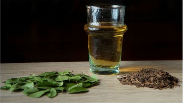 برسوں تک امریکیوں کو یہ معلوم نہیں تھا کہ پویون کے پتے بھونے جا سکتے ہیں۔