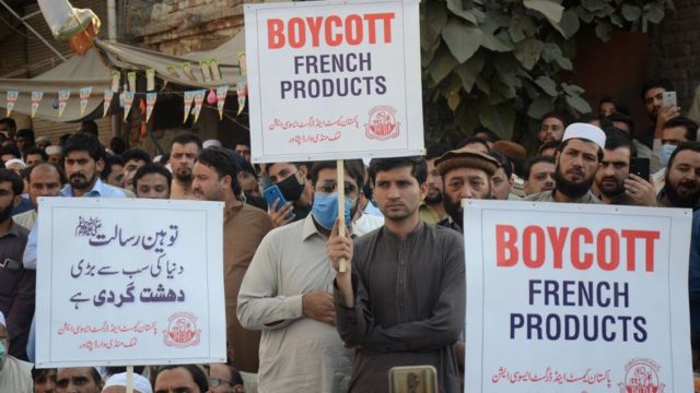 ماہرین کا خیال ہے کہ یورپی یونین نے وزیرِ اعظم عمران خان کے اس بیان پر بھی ردِ عمل دیا ہے جس میں انھوں نے کہا تھا تمام اسلامی ممالک اکھٹے ہو کر ان ملکوں کا تجارتی بائیکاٹ کریں جو مبینہ طور پر پیغمبر اسلام کی توہین کا مرتکب بنتے ہیں