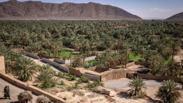 فگیگ کا علاقہ