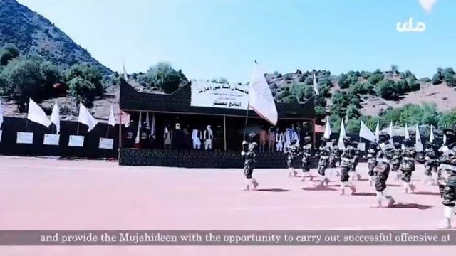 طالبان ویڈیو