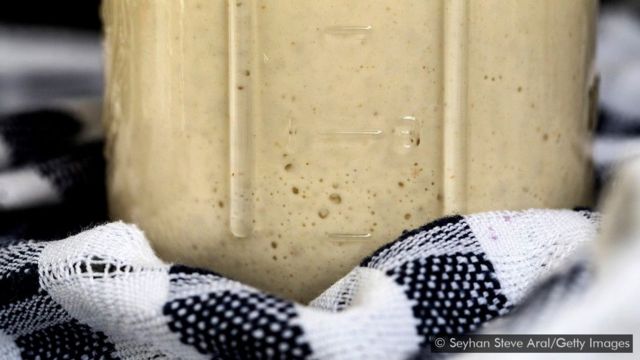 سان فرانسسکو کی ساؤرڈو بریڈ