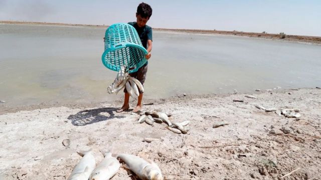 پانی کی قلت