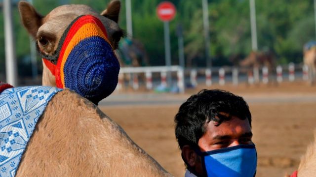 یو اے ای کووڈ