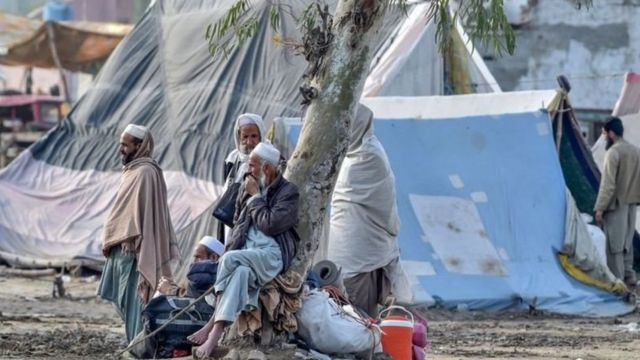 تبلیغی جماعت