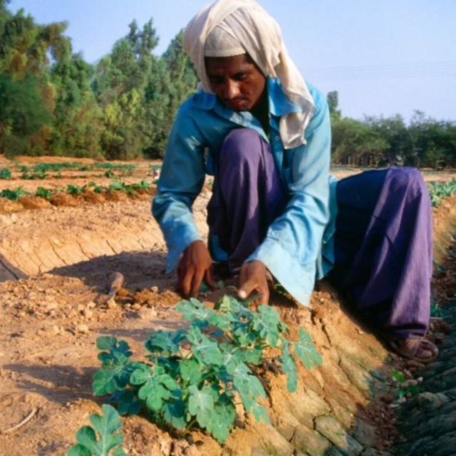 دبئی