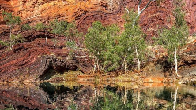 مغربی آسٹریلیا جیواشم فوسالائیزڈ زندگی کے نشانات