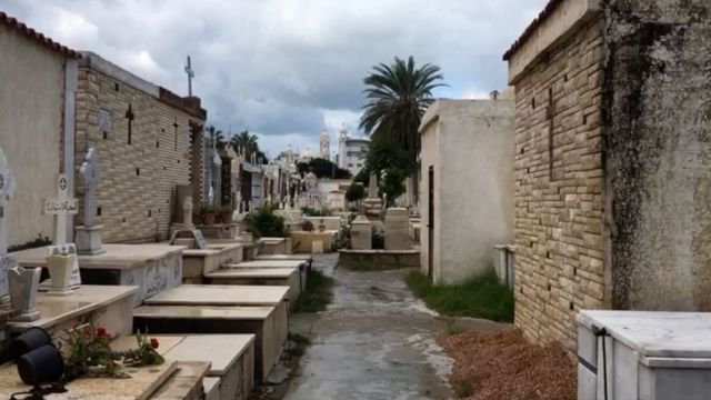 A cemetery in Alexandria
