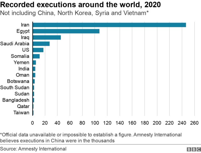 A chart showing executions worldwide in 2020