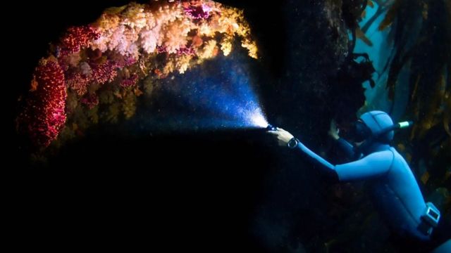 زیرِ آب مراقبہ