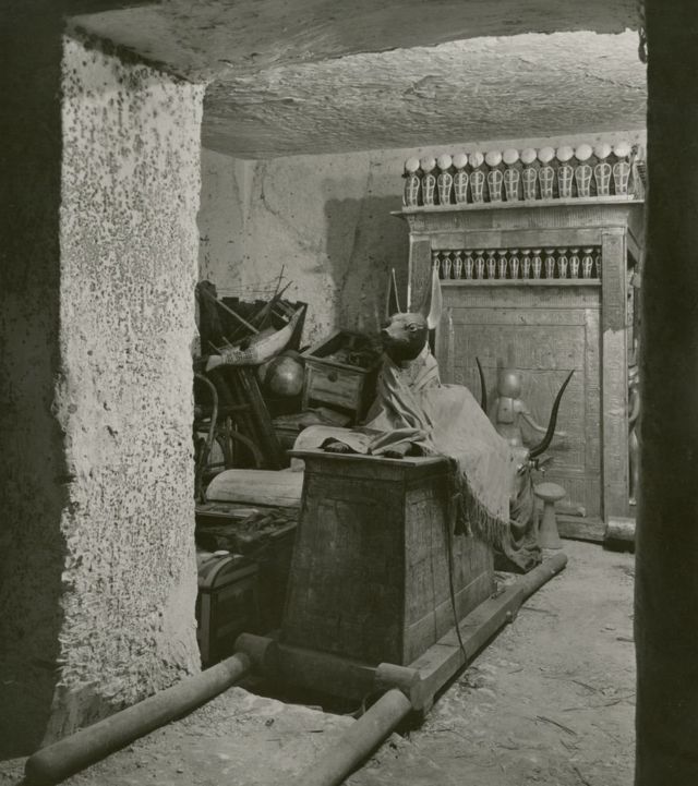 انوبس