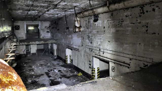 بریزنیکا کولونیا