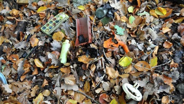 پولینڈ کے جنگلوں میں کوڑ کباڑ