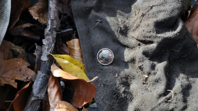 وردی کا بٹن