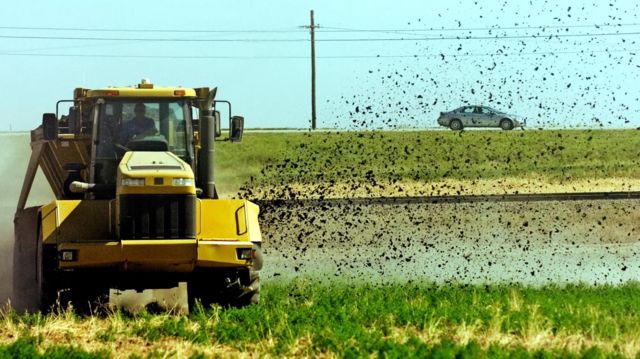 مائیکروپلاسٹک ماحولیاتی آلودگی