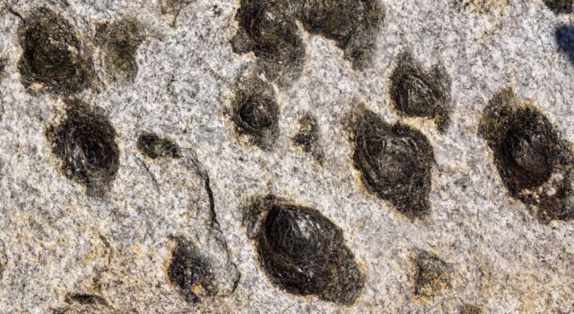 پرتگال پتھر