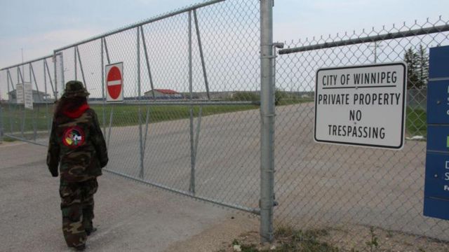 کیمبریا ہیرس